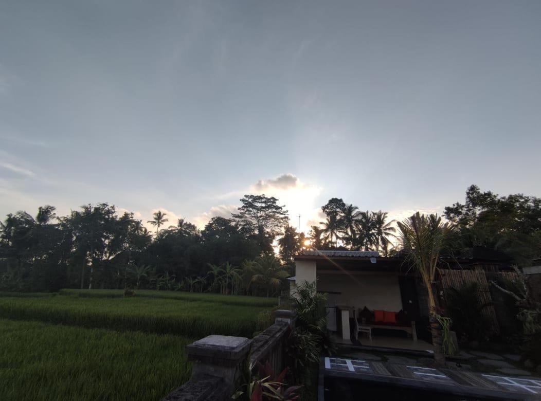 Anggarakasih Ubud Villa Exterior photo